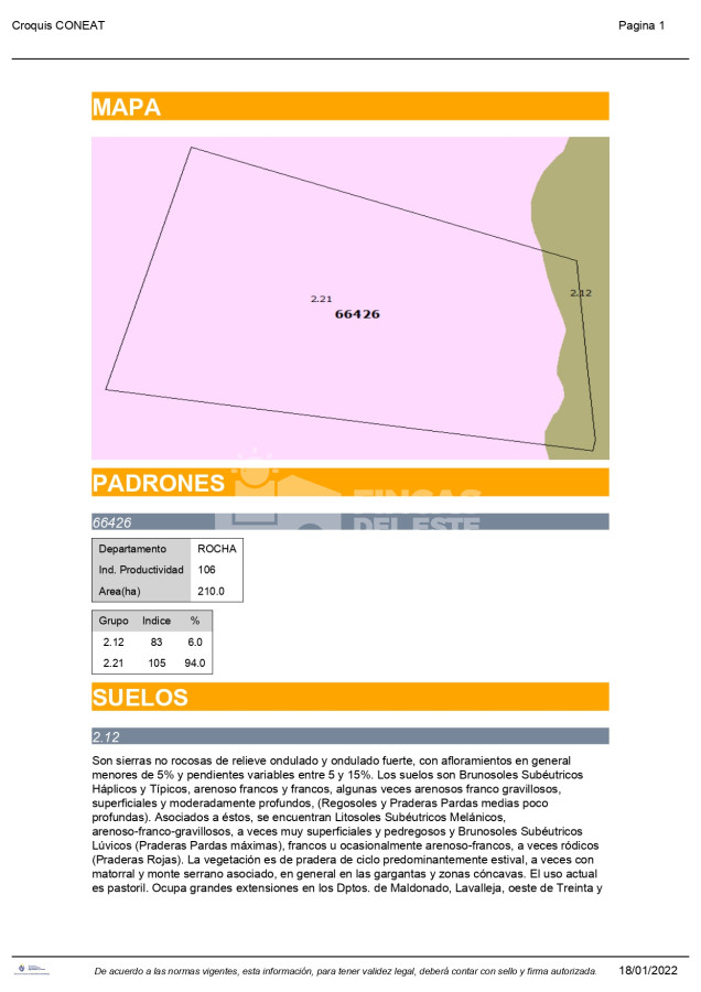Campo Ref.1148/CAPO-210-Ha-Rocha-ruta-15-La-Paloma-AGRICOLA--GANADERO- - CAPO 210 Ha  Rocha ruta 15  La Paloma  AGRICOLA - GANADERO 