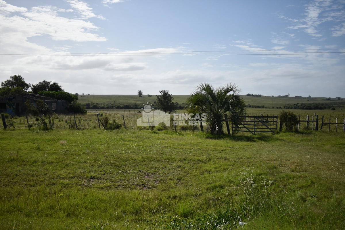 Campo Ref.663/Campo-Ruta-9-SAN-CARLOS- - Campo Ruta 9  SAN CARLOS 