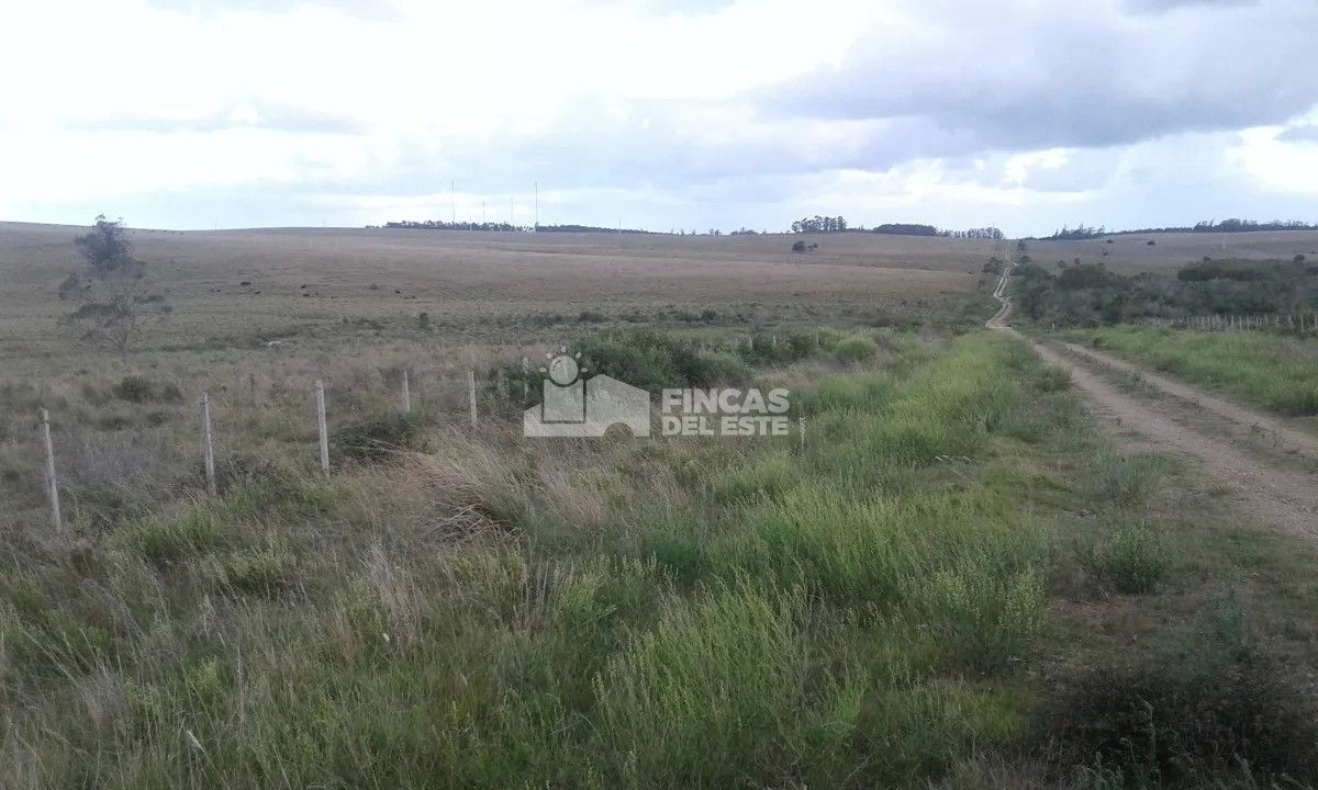 Campo Ref.663/Campo-Ruta-9-SAN-CARLOS- - Campo Ruta 9  SAN CARLOS 