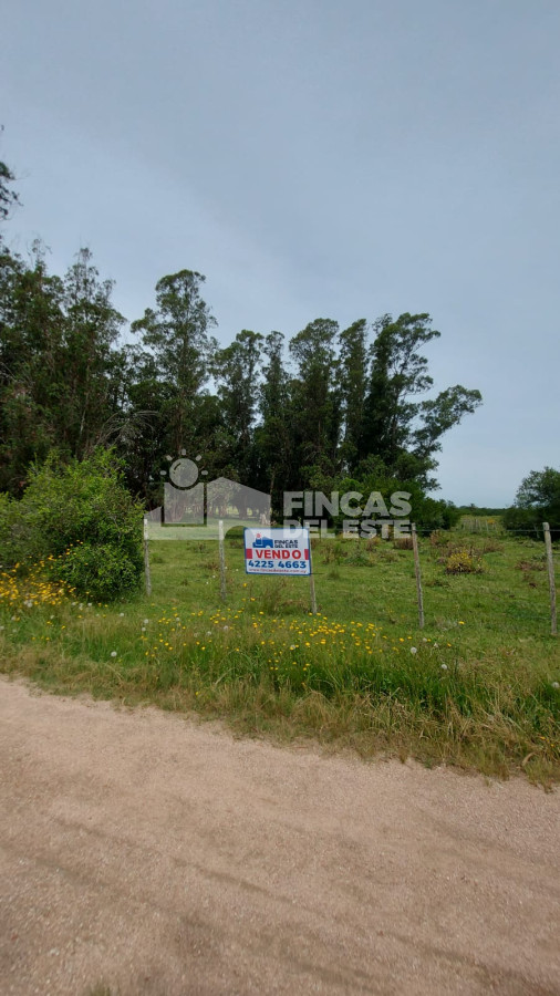 Campo Ref.1986/Campo-en-pueblo-Garzón-!! - Campo en pueblo Garzón !!