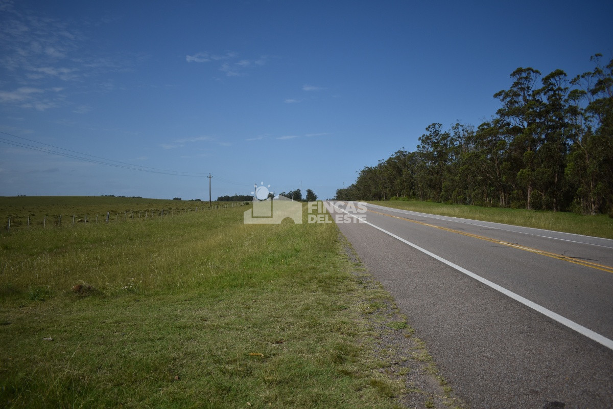 Campo Ref.663/Campo-Ruta-9-SAN-CARLOS- - Campo Ruta 9  SAN CARLOS 