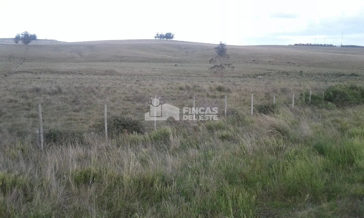 Campo Ref.663/Campo-Ruta-9-SAN-CARLOS- - Campo Ruta 9  SAN CARLOS 