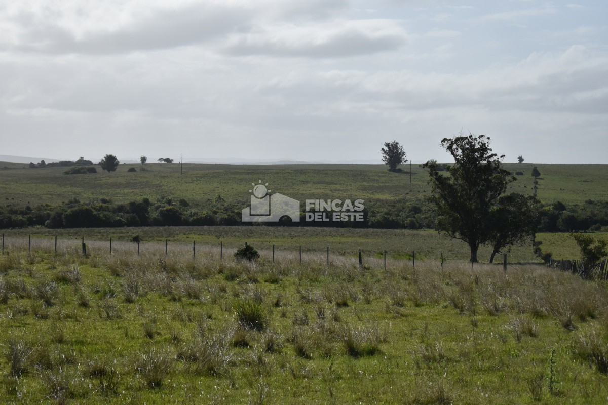 Campo Ref.663/Campo-Ruta-9-SAN-CARLOS- - Campo Ruta 9  SAN CARLOS 