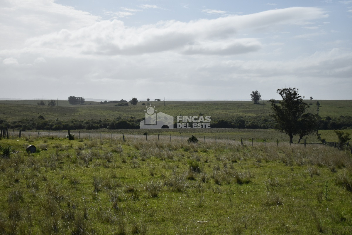 Campo Ref.663/Campo-Ruta-9-SAN-CARLOS- - Campo Ruta 9  SAN CARLOS 