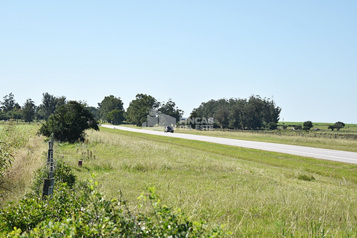 Campo Ref.757/36-ha.-sobre-ruta-9 - 36 ha. sobre ruta 9