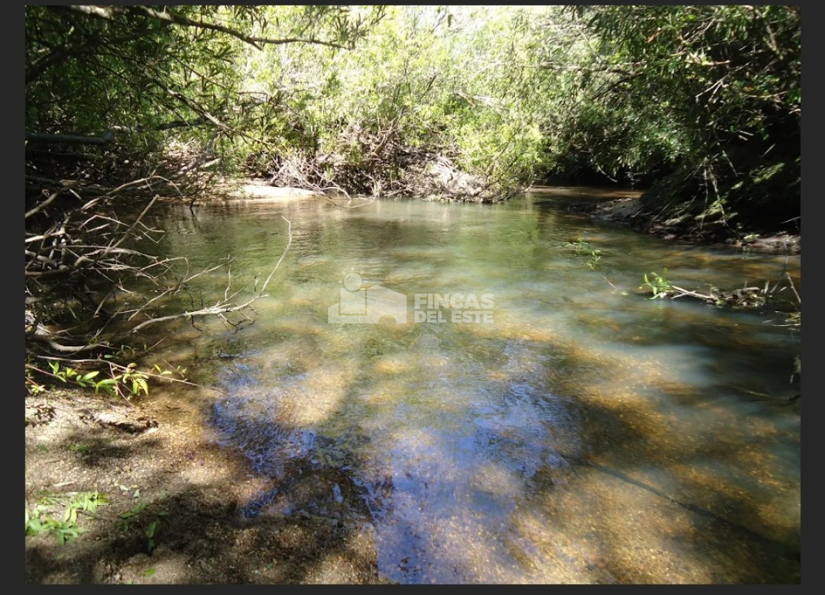 Campo Ref.583/Próximo-a-arroyo-Garzón - Próximo a arroyo Garzón