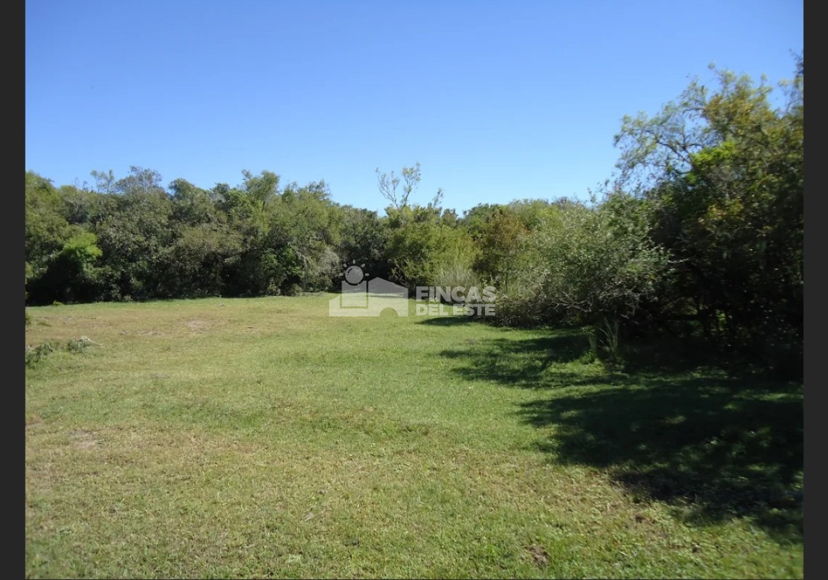 Campo Ref.583/Próximo-a-arroyo-Garzón - Próximo a arroyo Garzón