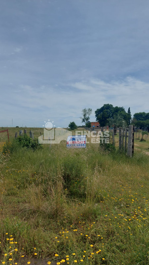 Oportunidad Campo de 16 hectáreas !! - GoPunta - Portal Inmobiliario de Punta del Este - Maldonado