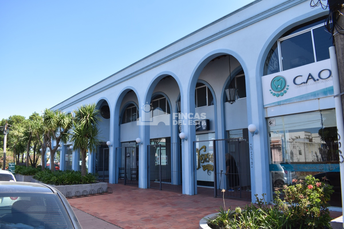 Local Comercial ID.617/LOCAL-EN-ALQUILER- - LOCAL EN ALQUILER 