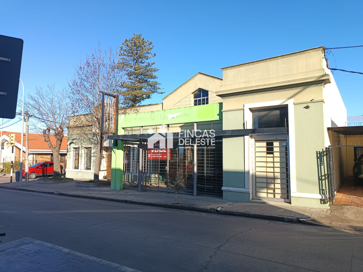 Local Comercial ID.2514/Alquiler-de-Local-Comercial-en-el-Centro-de-Maldonado- - Alquiler de Local Comercial en el Centro de Maldonado 