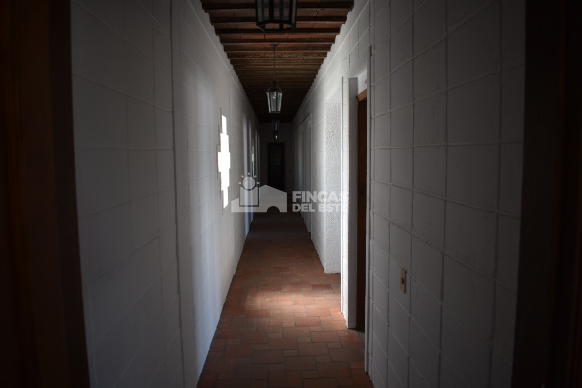 Local Comercial ID.618/LOCAL-EN-ALQUILER- - LOCAL EN ALQUILER 