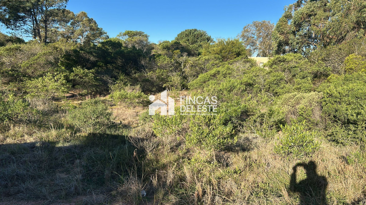 Terreno ID.2864/TERRENO-CLUB-DEL-LAGO - TERRENO CLUB DEL LAGO