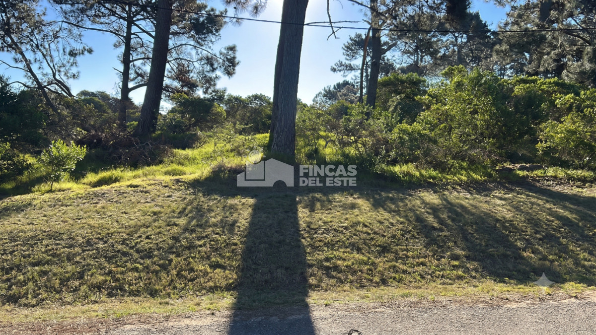 TERRENO CLUB DEL LAGO  - FDE2863T