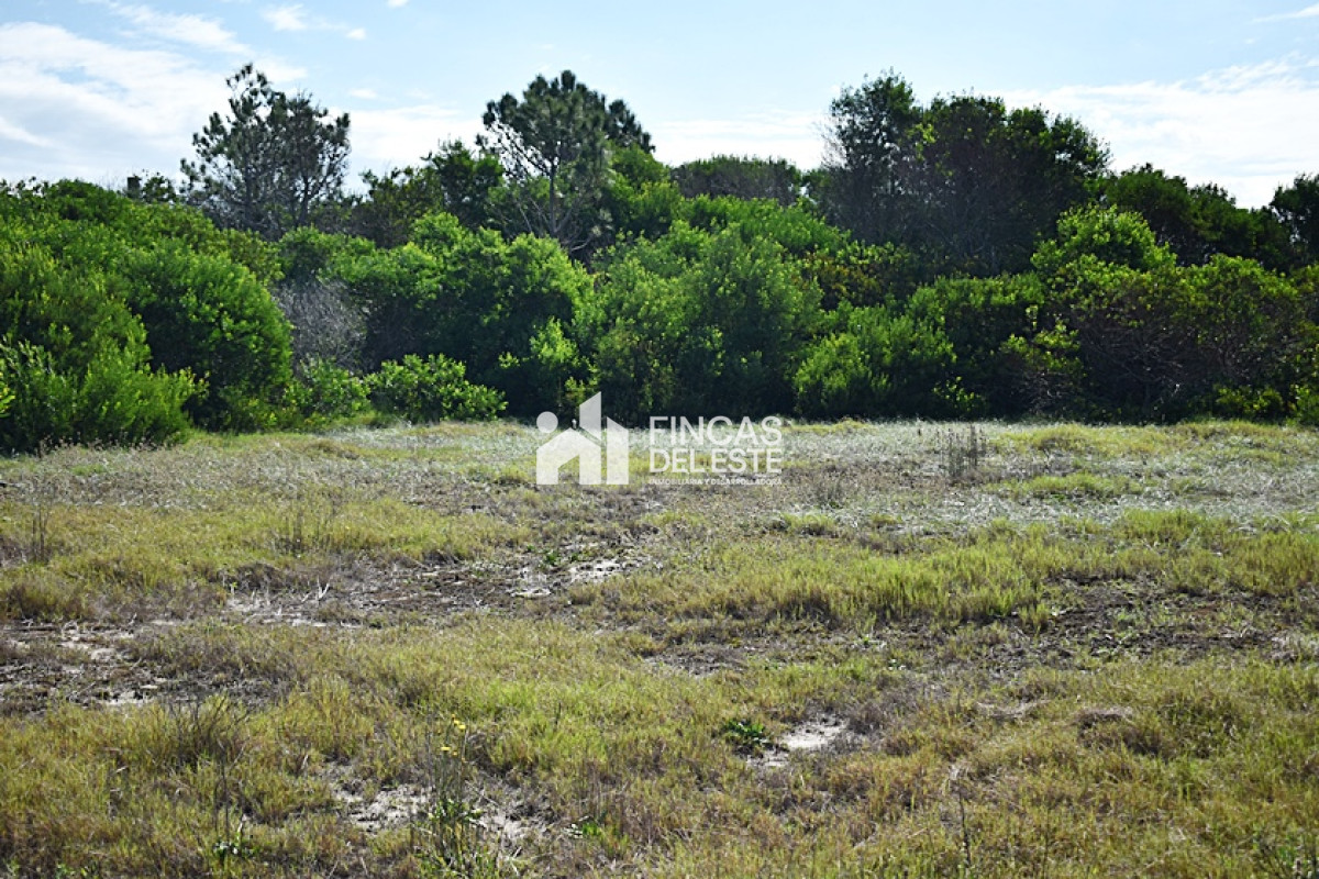 Terreno ID.718/LA-JUANITA- - LA JUANITA 