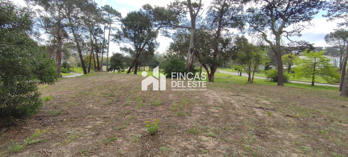 Terreno ID.1037/FRACCIONAMIENTO-Zona:-BEVERLY-HILLS- - FRACCIONAMIENTO Zona: BEVERLY HILLS 