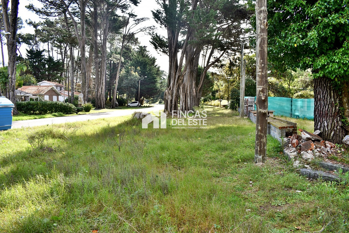 Terreno ID.836/Terreno-a-pasos-del-mar- - Terreno a pasos del mar 