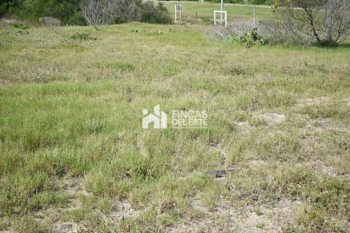 Terreno ID.717/LA-JUANITA- - LA JUANITA 