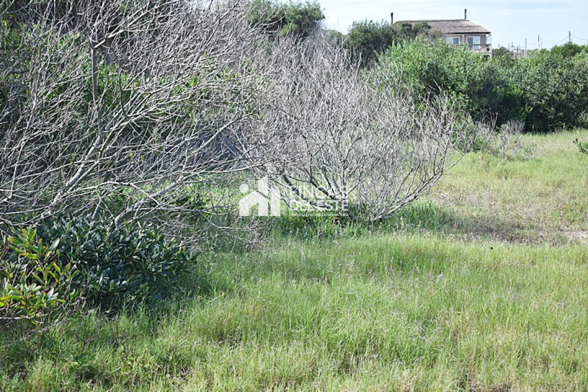 Terreno ID.717/LA-JUANITA- - LA JUANITA 