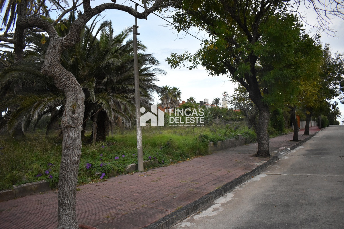 Terreno ID.651/TERRENO-EN-PENINSULA- - TERRENO EN PENINSULA 