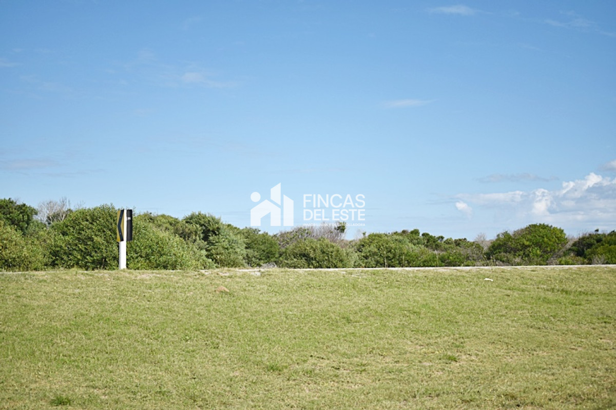 Terreno ID.713/TERRENOS-VARIOS-EN-LA-JUANITA- - TERRENOS VARIOS EN LA JUANITA 