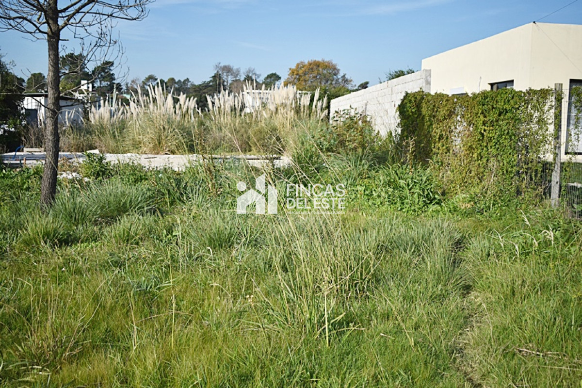 Terreno ID.771/TERRENO-Alto-de-la-Laguna- - TERRENO Alto de la Laguna 