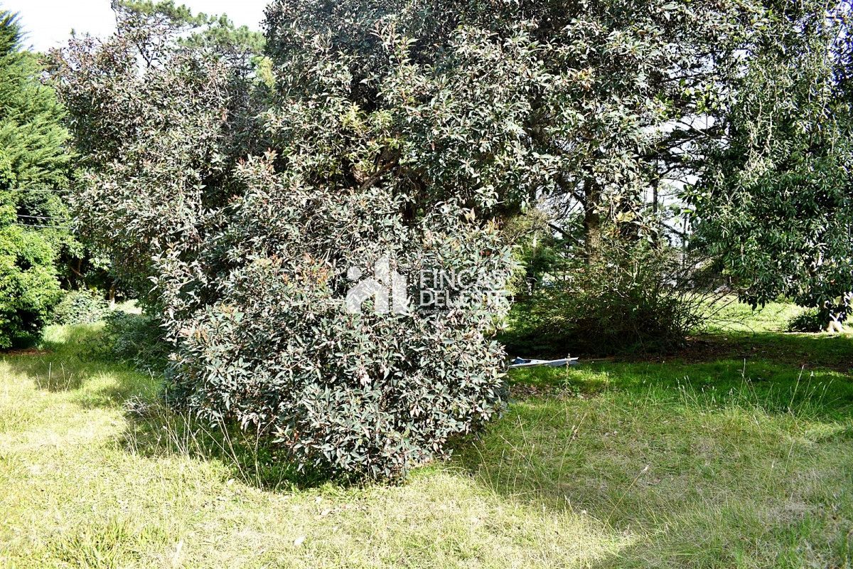 Terreno ID.836/Terreno-a-pasos-del-mar- - Terreno a pasos del mar 