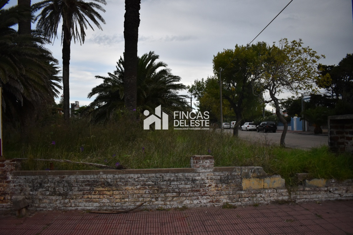 Terreno ID.651/TERRENO-EN-PENINSULA- - TERRENO EN PENINSULA 