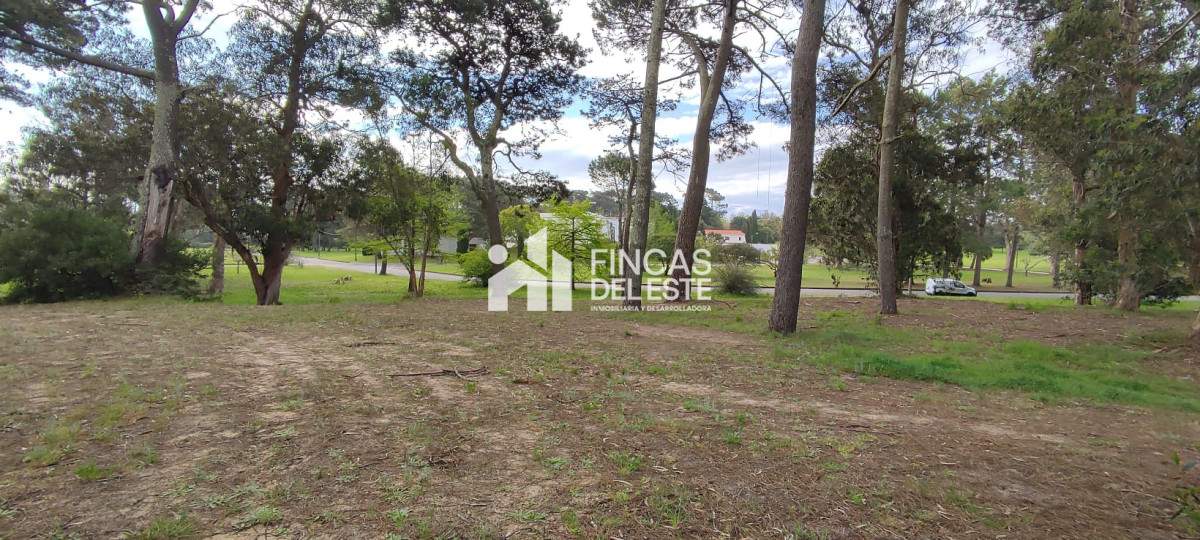 Terreno ID.1037/FRACCIONAMIENTO-Zona:-BEVERLY-HILLS- - FRACCIONAMIENTO Zona: BEVERLY HILLS 
