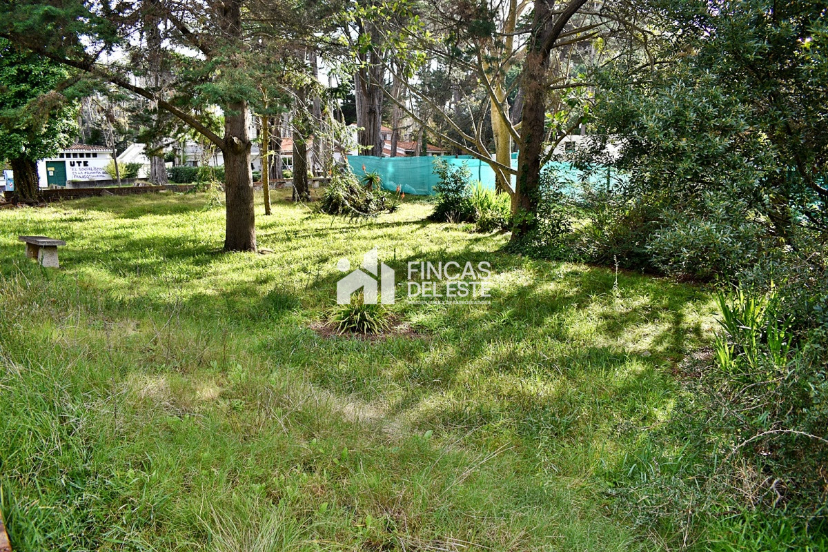Terreno ID.836/Terreno-a-pasos-del-mar- - Terreno a pasos del mar 