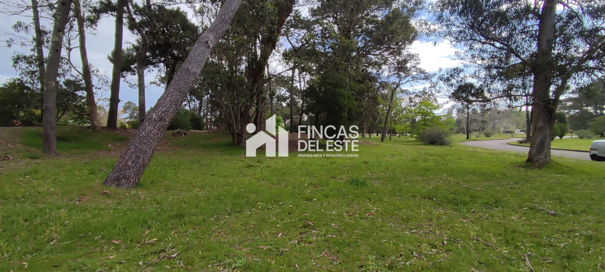 Terreno ID.1037/FRACCIONAMIENTO-Zona:-BEVERLY-HILLS- - FRACCIONAMIENTO Zona: BEVERLY HILLS 