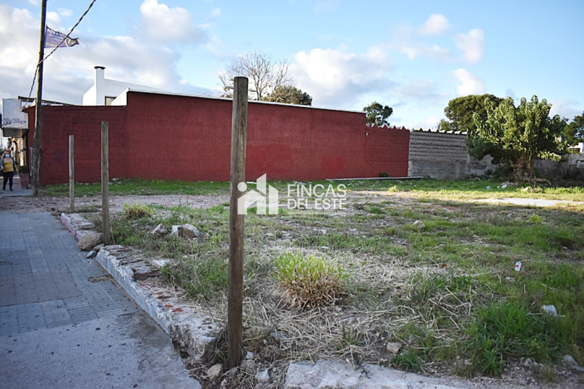 TERRENO CENTRO MALDONADO
