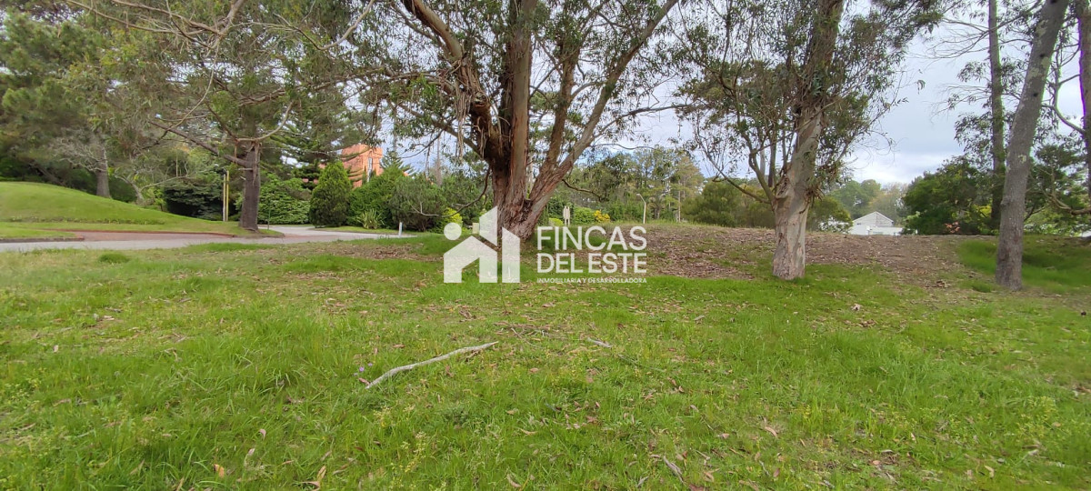 Terreno ID.1037/FRACCIONAMIENTO-Zona:-BEVERLY-HILLS- - FRACCIONAMIENTO Zona: BEVERLY HILLS 