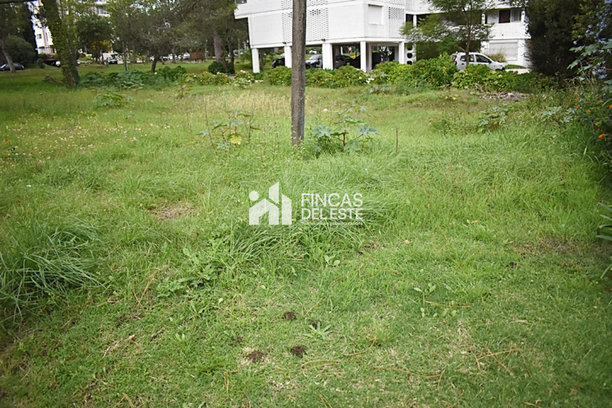 Terreno ID.728/TERRENO-en-Roosevelt. - TERRENO en Roosevelt.