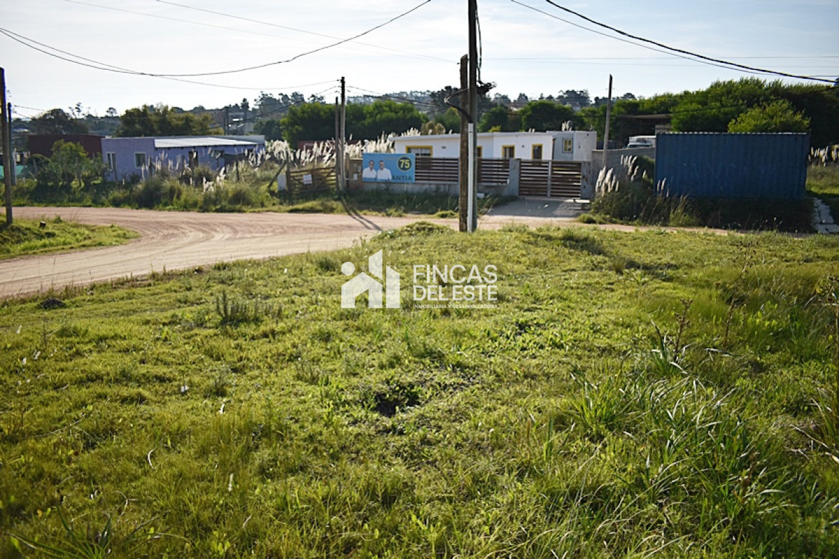 Terreno ID.771/TERRENO-Alto-de-la-Laguna- - TERRENO Alto de la Laguna 