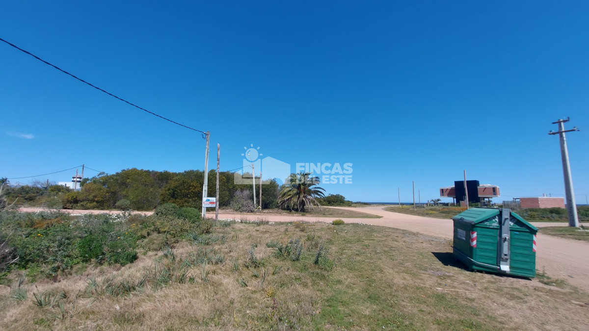 Sauce de Portezuelo - GoPunta - Portal Inmobiliario de Punta del Este - Maldonado