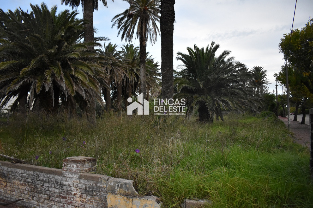 Terreno ID.651/TERRENO-EN-PENINSULA- - TERRENO EN PENINSULA 