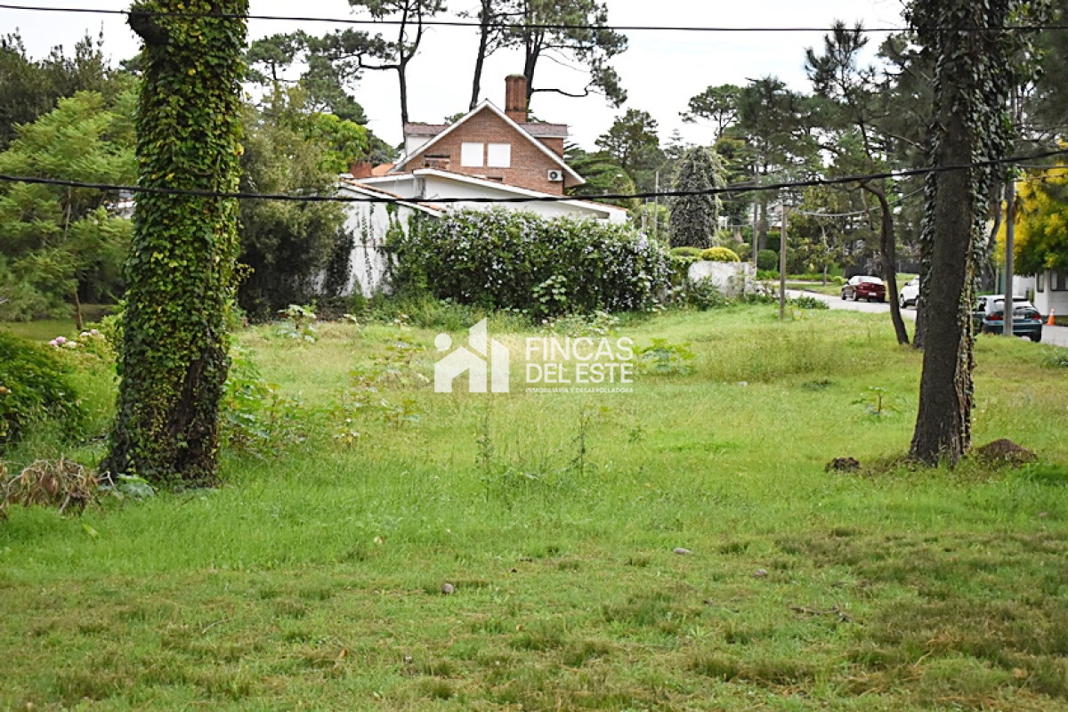 Terreno ID.728/TERRENO-en-Roosevelt. - TERRENO en Roosevelt.