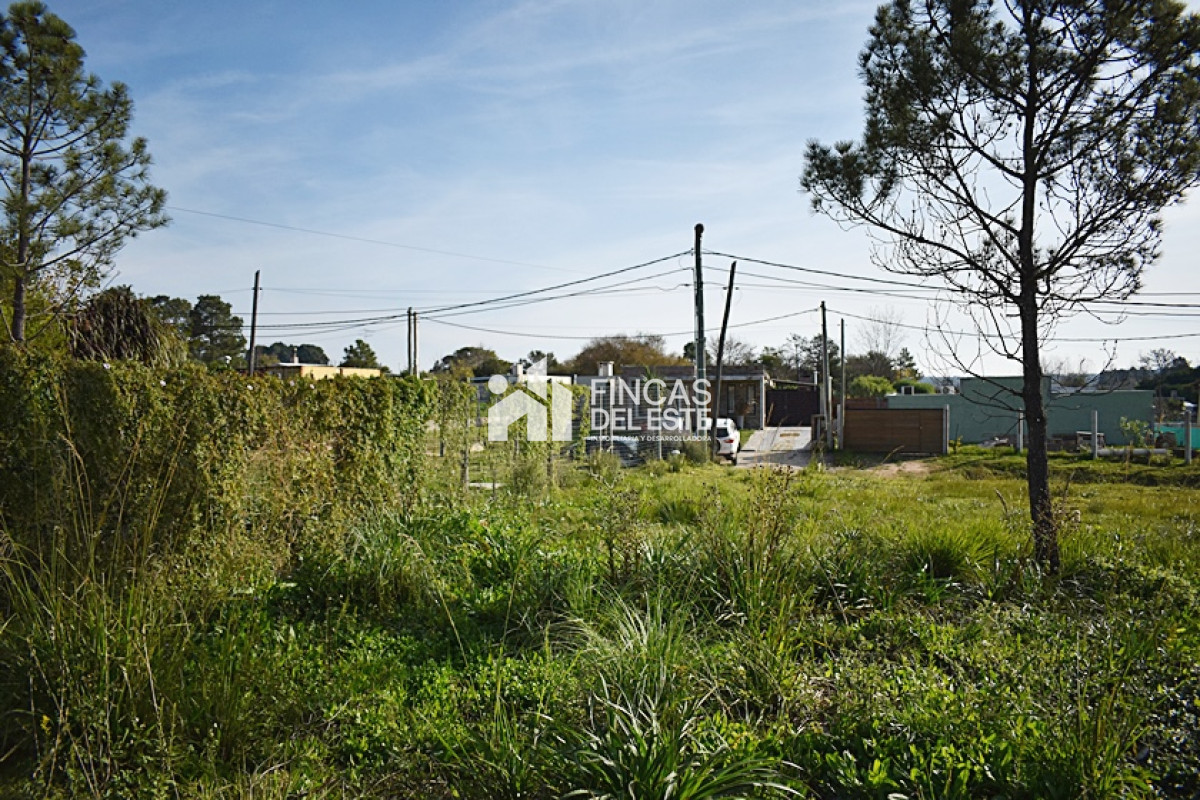 Terreno ID.771/TERRENO-Alto-de-la-Laguna- - TERRENO Alto de la Laguna 