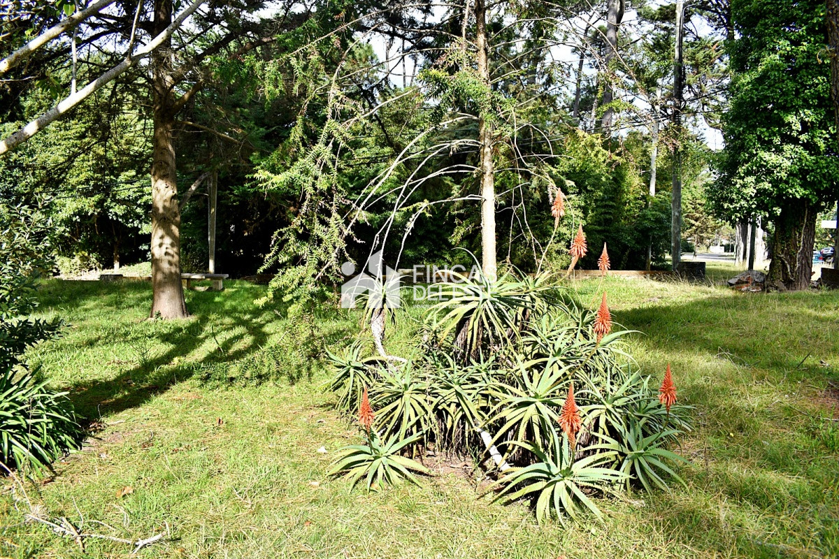 Terreno ID.836/Terreno-a-pasos-del-mar- - Terreno a pasos del mar 