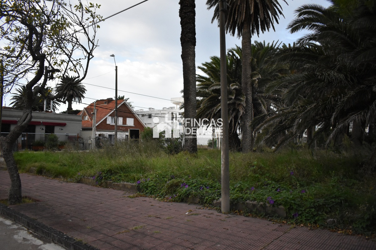 Terreno ID.651/TERRENO-EN-PENINSULA- - TERRENO EN PENINSULA 