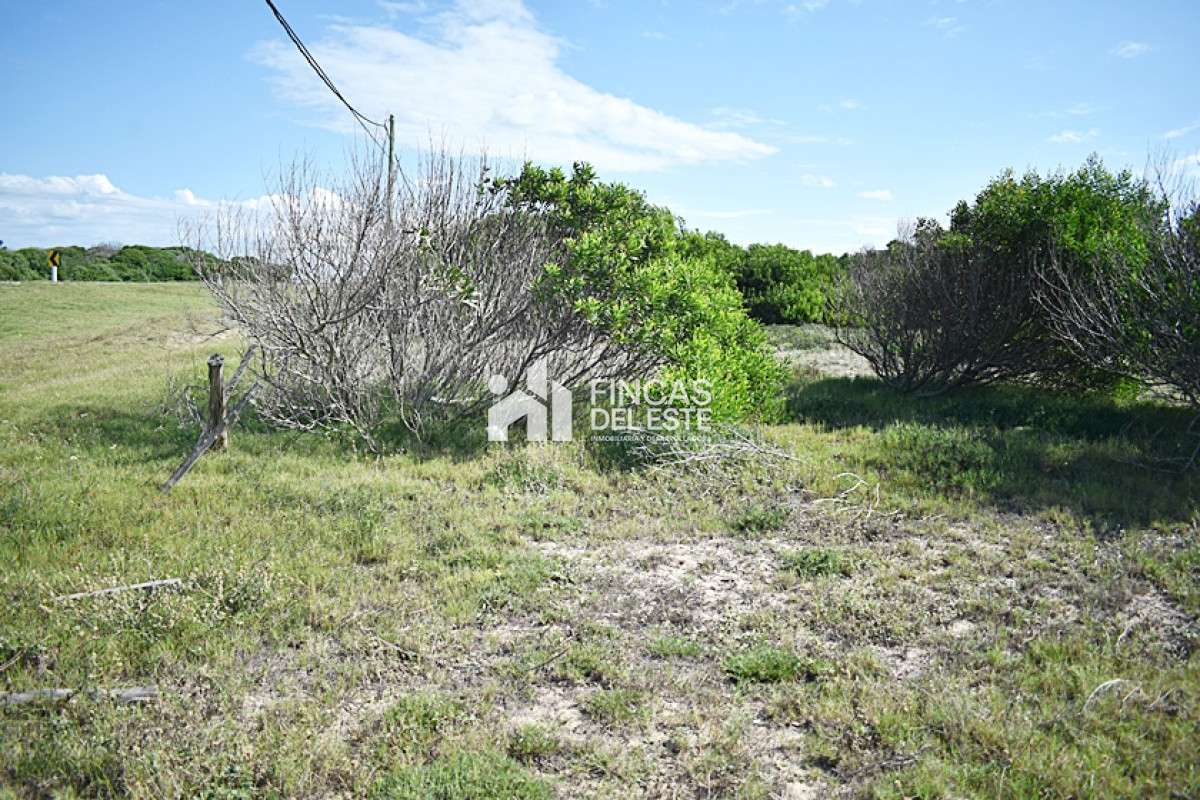 Terreno ID.713/TERRENOS-VARIOS-EN-LA-JUANITA- - TERRENOS VARIOS EN LA JUANITA 
