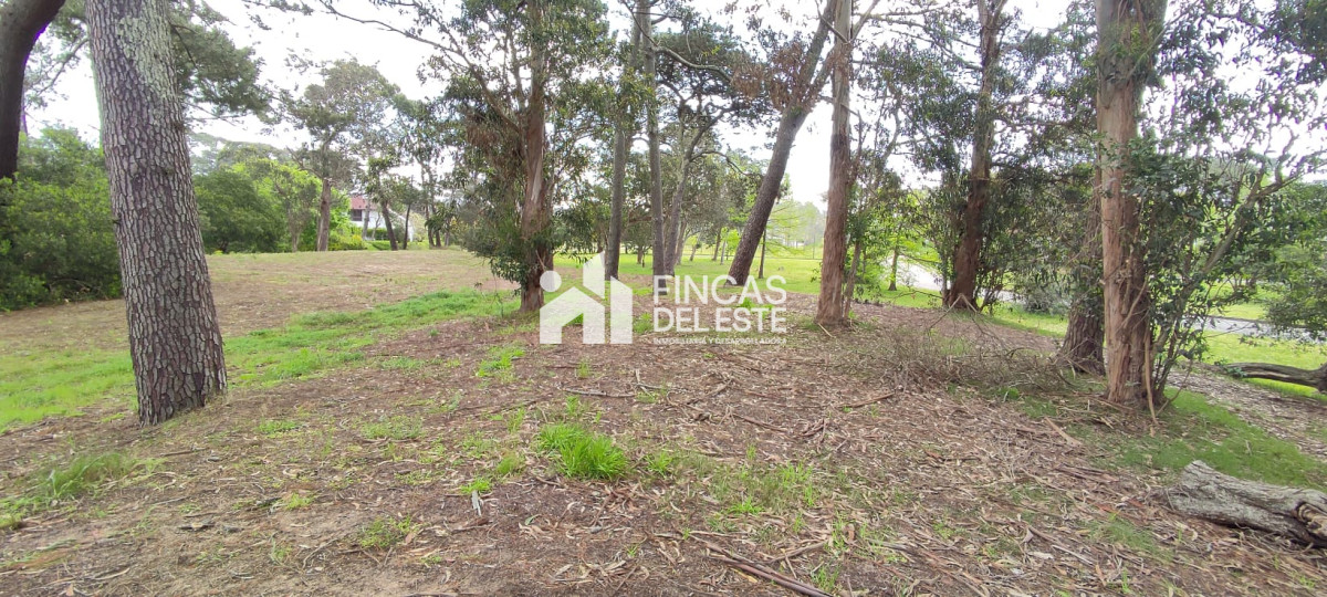 Terreno ID.1037/FRACCIONAMIENTO-Zona:-BEVERLY-HILLS- - FRACCIONAMIENTO Zona: BEVERLY HILLS 