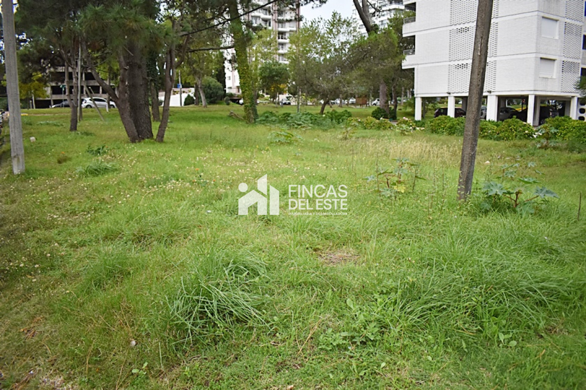 Terreno ID.728/TERRENO-en-Roosevelt. - TERRENO en Roosevelt.