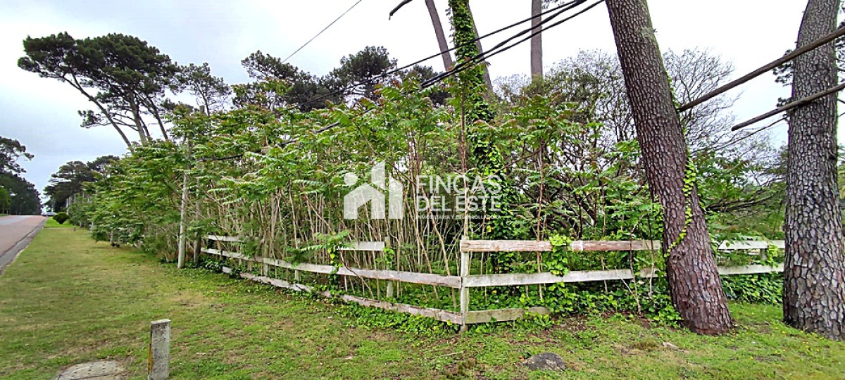 Terreno ID.1045/La-mansa- - La mansa 