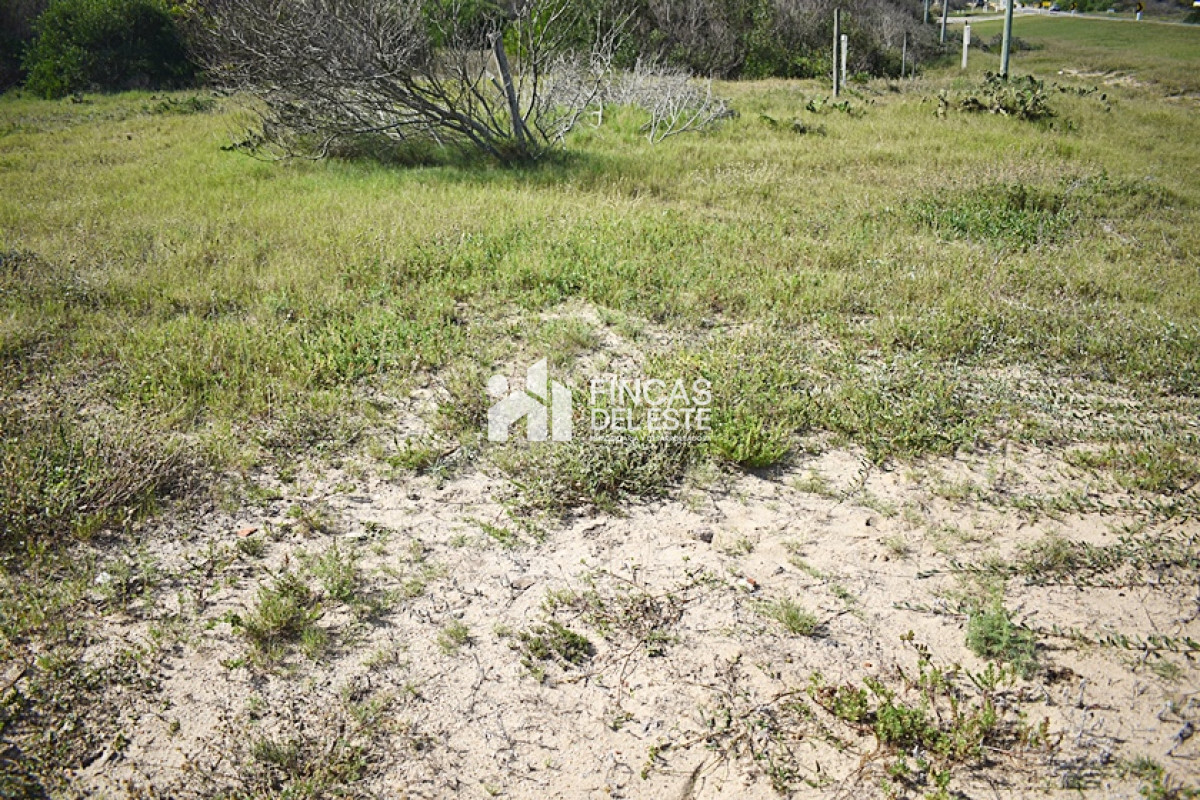 Terreno ID.717/LA-JUANITA- - LA JUANITA 
