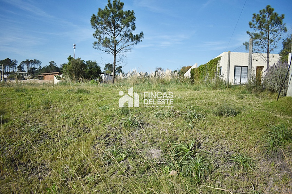 Terreno ID.771/TERRENO-Alto-de-la-Laguna- - TERRENO Alto de la Laguna 