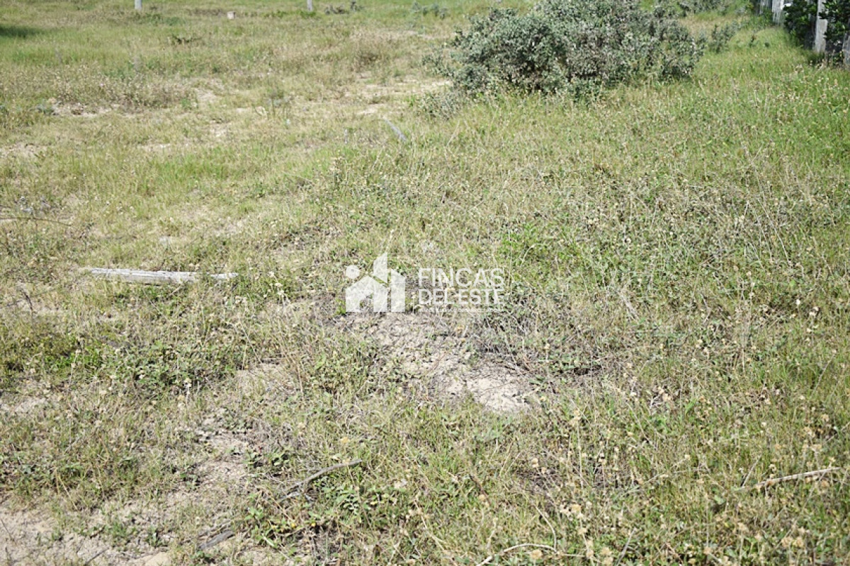 Terreno ID.717/LA-JUANITA- - LA JUANITA 