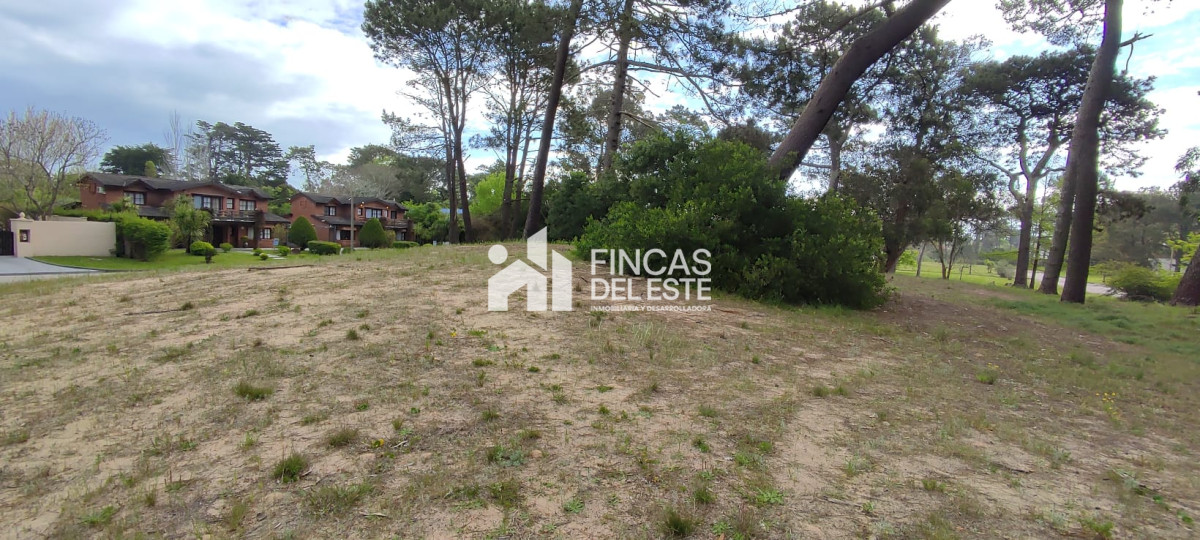 Terreno ID.1037/FRACCIONAMIENTO-Zona:-BEVERLY-HILLS- - FRACCIONAMIENTO Zona: BEVERLY HILLS 
