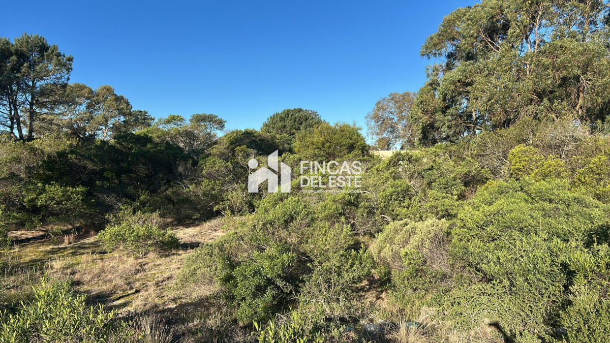 TERRENO CLUB DEL LAGO - FDE2864T