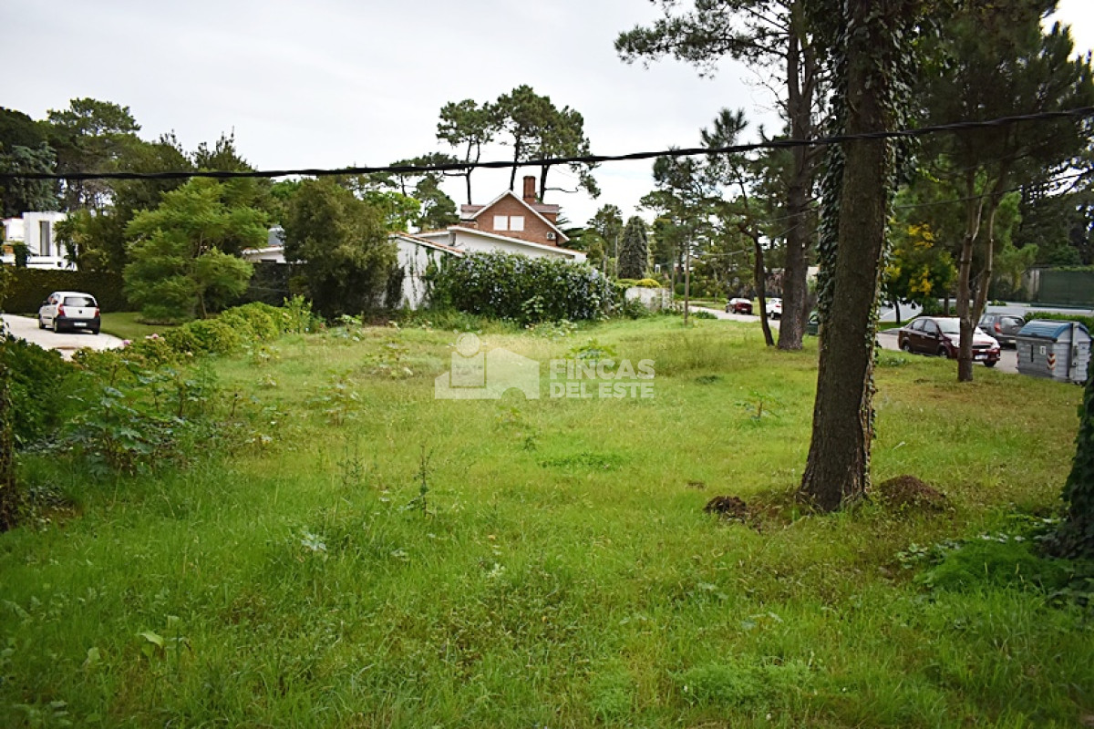 Terreno ID.728/TERRENO-en-Roosevelt. - TERRENO en Roosevelt.